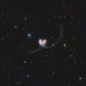 女人交配真实高潮视频
